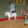 Tom Dunwoody Miniature Circus
