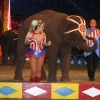 Frisco Family & Performing Elephants