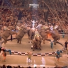 Axel Gautier & Ringling Bros. Barnum & Bailey Elephants, 1975