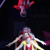 Circus 2014 Holiday Shows. 2nd Half