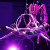 Sailor Circus Spring Shows 2015