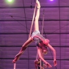 Sailor Circus Spring Shows 2015